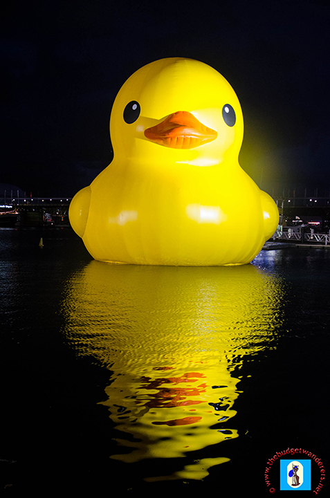 One of our best photos of the Rubber Duck.