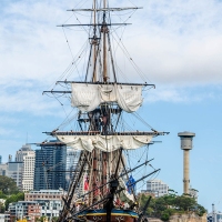 Why We Love Tall Ships
