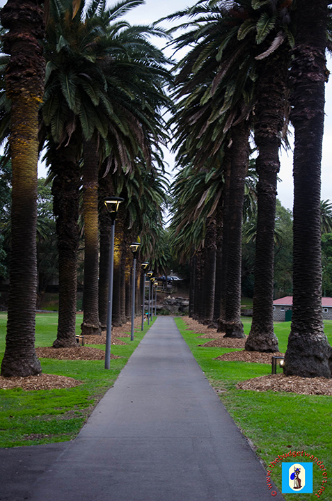 A walkway of palm trees along Jubilee Park.